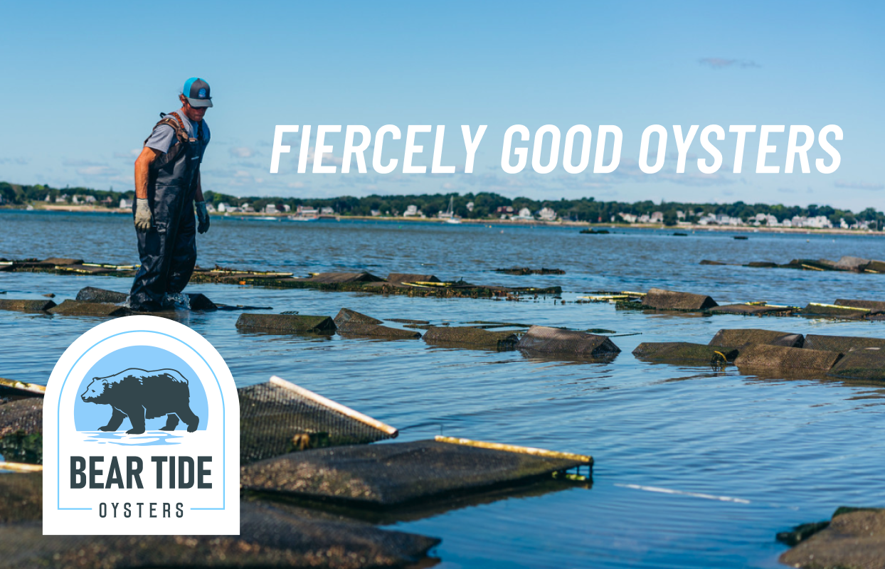 Bear Tide Oysters banner image