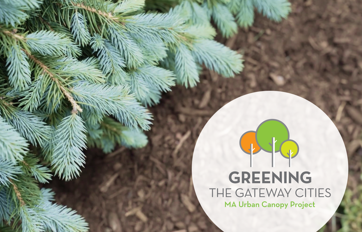 Greening the Gateway Cities (DCR) sample work